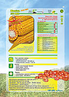 Насіння кукурудзи Моніка ФАО 350