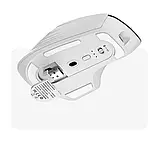 Миша HP Professor1 white з трьома типами підключення BlueTooth, 2.4G, дротове, фото 3