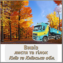 Zielinski&Rozen Vetiver&Lemon, Bergamot парфуми унісекс 100 ml. (Зелинський і Розен Ветивер і Лимон, Бергамот), фото 5