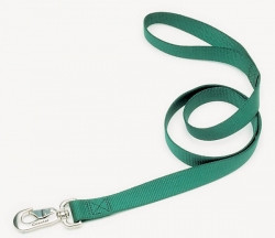 Повідець для собак, нейлон, Coastal Nylon Training, 2,5 см*1,8 м хантер