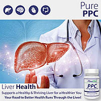 PhosChol PPC Choline Холін/Фосхол (фосфатидилхолін) 236 мл. BX230, фото 5