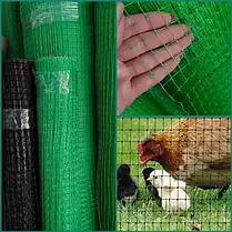 Сітка пластикова "Пташка" Клевер/Універсальна квадрат 30х35х 1х50 Зелена