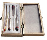 Набір ареометрів з термометром (в дерев'яному футлярі), фото 2