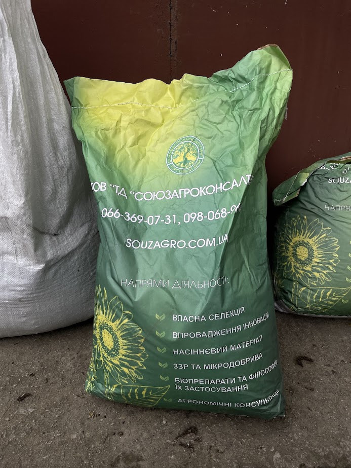 Насіння сортового соняшнику Синельниківський Ультраранній (СУР), фр. стандарт