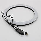 Кільцева лампа RGB 30 см, MJ 300 Soft Ring Light / Світлодіодна лампа / Лампа для блогерів, фото 6