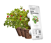 Змінний картридж до гроубоксу Click and Grow Дика полуниця (7410)