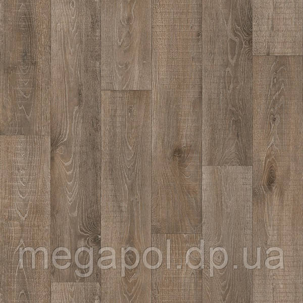 Magister Oldenburg 2, фото 1