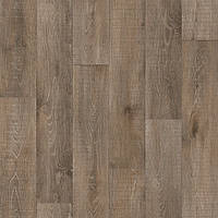 Magister Oldenburg 2