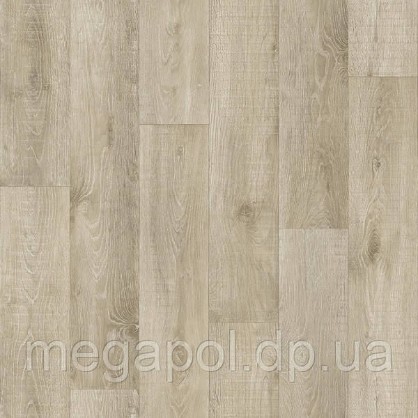 Magister Oldenburg 1, фото 1