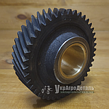 Шестерня проміжна двигуна Д-65 ЮМЗ (Z=42) Д04-С02, фото 3