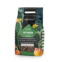 Субстрат 3 л для кактусів Lechuza CACTUSPON