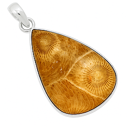 Корал-квітка скам'янілий срібний кулон, 0129ПК