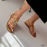 Модные Женские босоножки на низком ходу , женские стильные босоножки, черные женские босоножки., фото 3