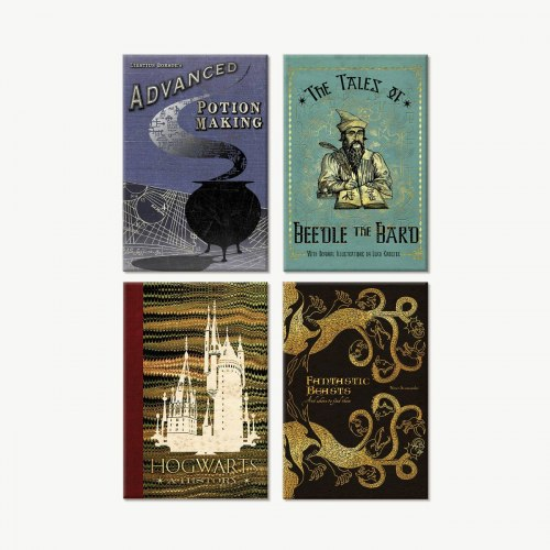 Hogwarts Book Covers Magnet Set, фото 1