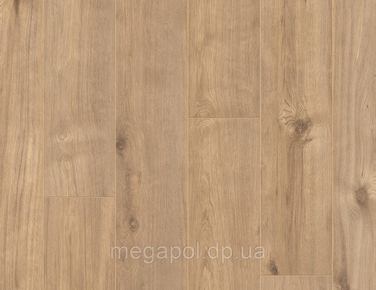 Ламінат 00226 Xpert Pro Best Cabin Oak / Кабіна Дуб 10мм, фото 1