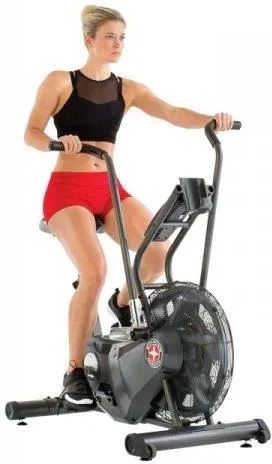 Schwinn Airdyne Ad6I