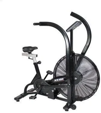 Bauer Fitness Xebex Air Bike Xbx-100