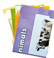 Beehive Starter Classroom Resources Pack Флеш-картки (оригінал), фото 2