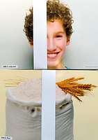 Beehive 3 Classroom Resources Pack Флеш-картки (оригінал), фото 3