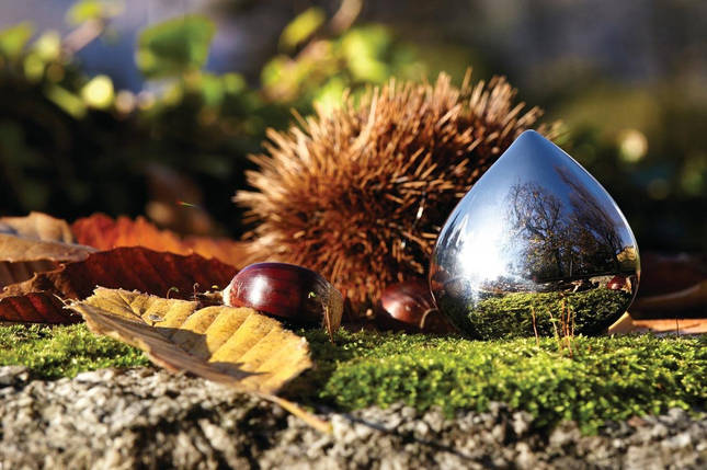 Срібна таблетниця alessi у форми каштана, фото 1