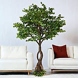 Штучне дерево - Піттоспорум 250 см, на підставці (360559), фото 7
