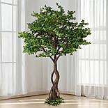 Штучне дерево - Піттоспорум 250 см, на підставці (360559), фото 8