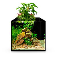 Акваріумістика