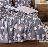 Постільна білизна ранфорс 20127 Viluta, фото 3