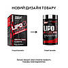 Жироспалювач Nutrex Research Lipo-6 Black Fat Destroyer, 60 капсул, фото 2