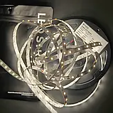 LED стрічка COLORS 60-2835-24V-IP20 4,4W 480Lm 3000K 5м (DJ60-24V-8mm-WW), фото 2