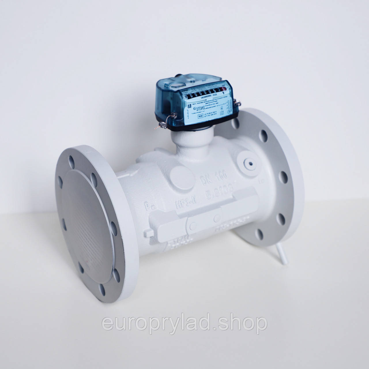 Лічильник газу турбінний TZ/Fluxi G250 DN100 1:30, фото 1