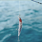 Електронна приманка для лову хижих риб із підсвіткою й USB, Twitching Lure/Рабка-приманка для риболовлі, фото 2