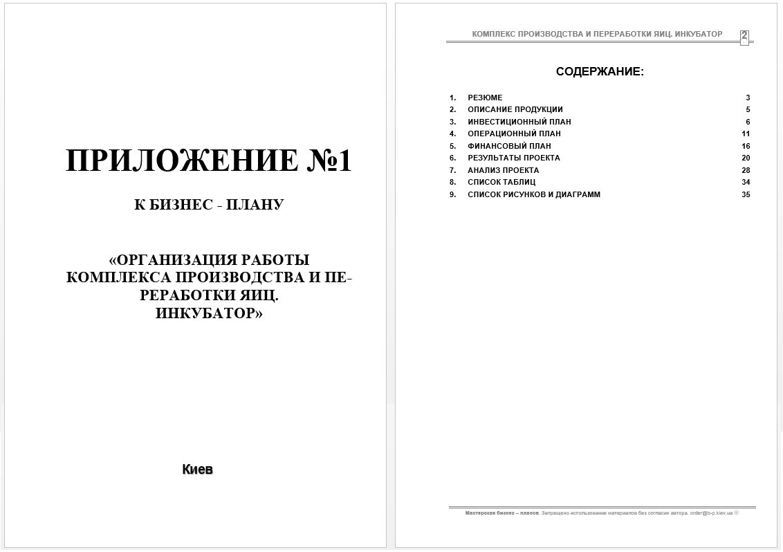 Бизнес-план (ТЭО). Комплекс. Яйцо куриное. Яичный порошок. Инкубатор. Комбикорм. завод. Полуфабрикаты. Птенцы - фото 5 - id-p464279348