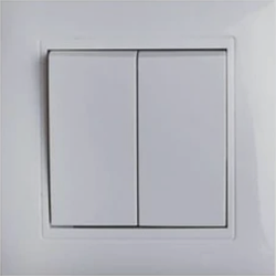 Вимикач двоклавішний Anestech (білий) smart