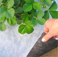 Чорно-біле агроволокно готові відрізи ТМ Shadow