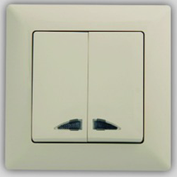 Вимикач двоклавішний з підсвічуванням Anestech (кремовий) smart