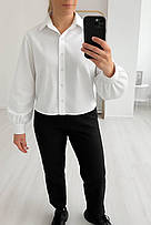 Блузки та туніки