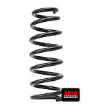 Пружина підвіски задня KYB RI6503, фото 3