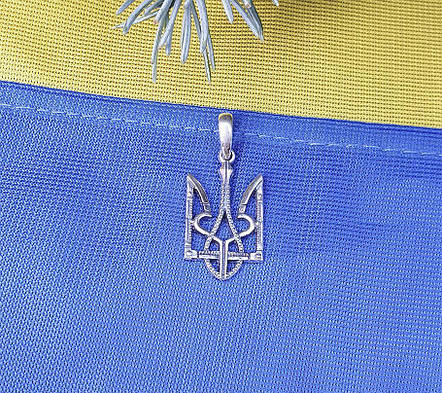 Кулон Герб Maxi Silver 9156, фото 1