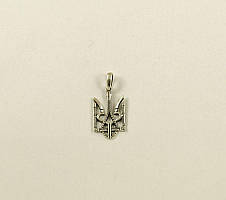 Кулон Герб Maxi Silver 9156, фото 3