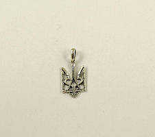 Кулон Герб Maxi Silver 9156, фото 4