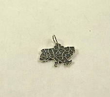 Кулон мапа України Maxi Silver 8984, фото 3