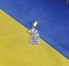 Кулон енот Maxi Silver 7260, фото 3