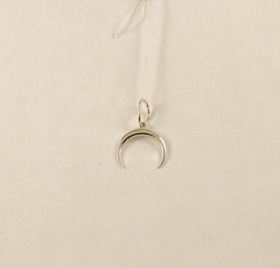 Кулон зневоднення луни Maxi Silver 9286