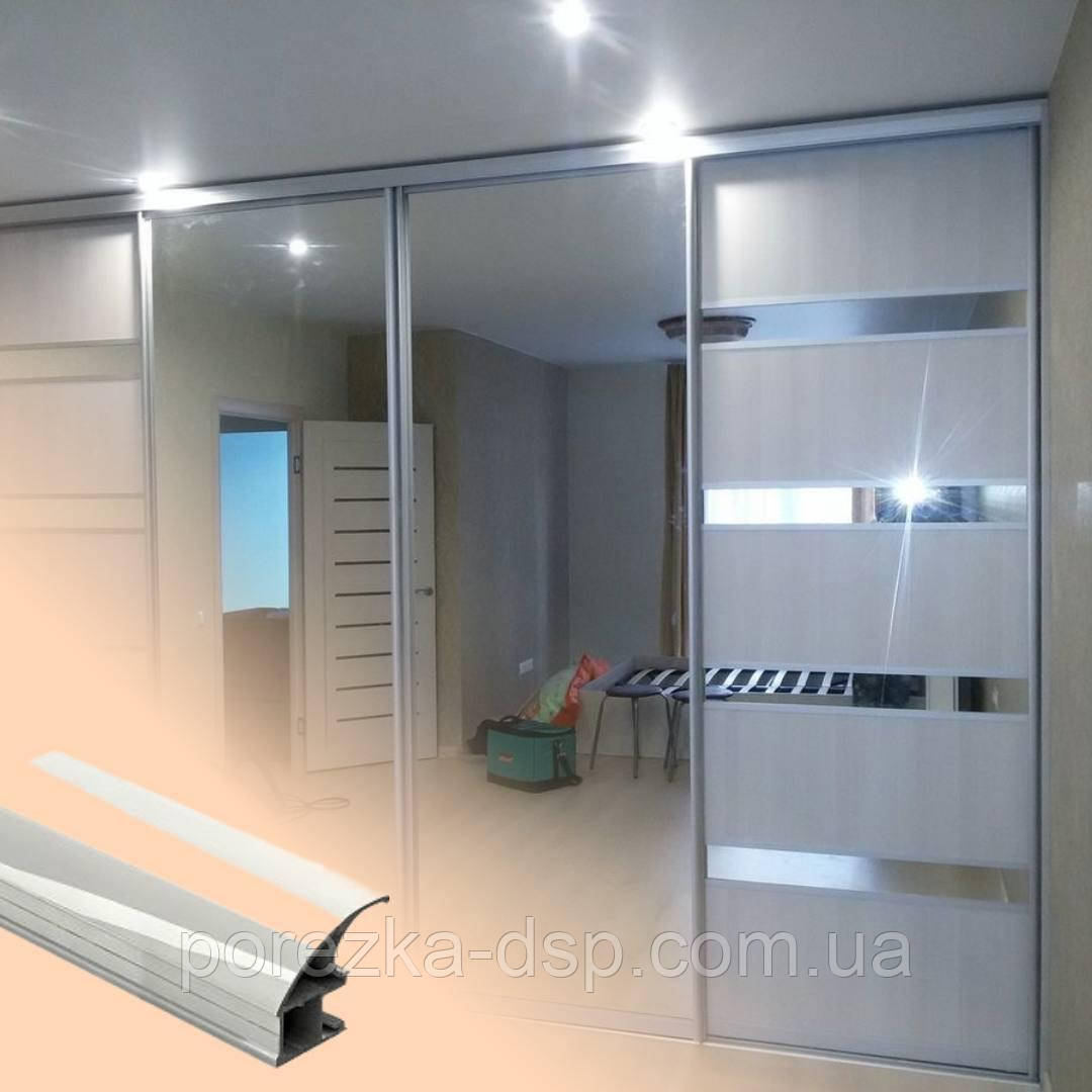 Розсувні дзеркальні двері, профіль поліроване срібло, фото 1