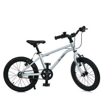 Велосипед дитячий 16д. PROF1 MB 16LIGHTY SILVER
