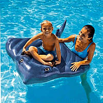 Надувний пліт Intex "Скат" 188×145 см з ручками, арт. 57550, фото 3