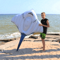 Надувний пліт Intex "Скат" 188×145 см з ручками, арт. 57550, фото 7