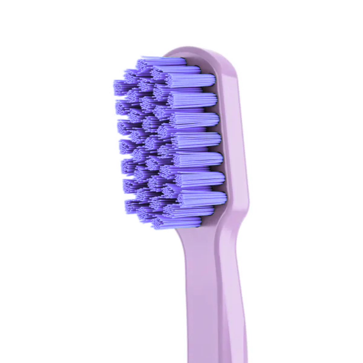 Основные виды щеток: краткий обзор в интернет-магазине NewDental