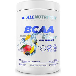 Бцаа инстант AllNutrition BCAA Instant max support 500 г (різні смаки)